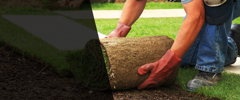 Centreville Landscapers